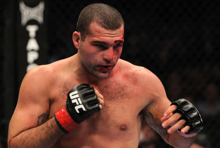 Mauricio Rua Ufc Fight Night Wallpaper