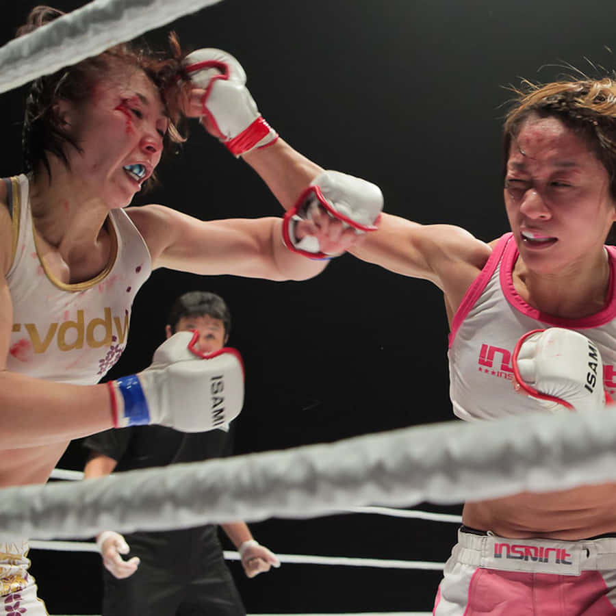 Megumi Fujii In Her Fighting Stance. Wallpaper
