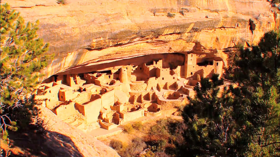 Mesa Verde National Park Cliff Palace Wallpaper