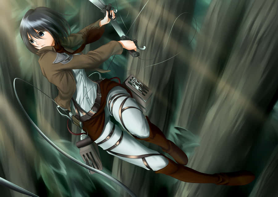 Mikasa Pfp Cut Wallpaper