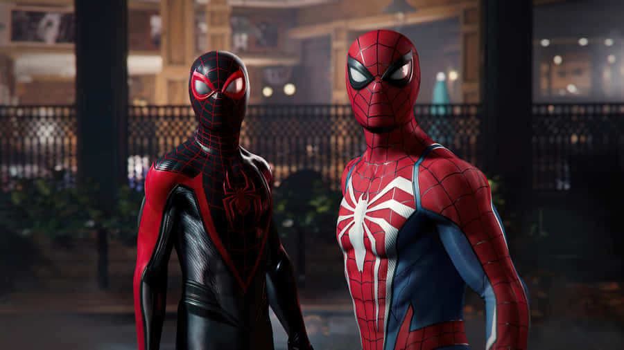 Miles And Spider Man Pfp Wallpaper