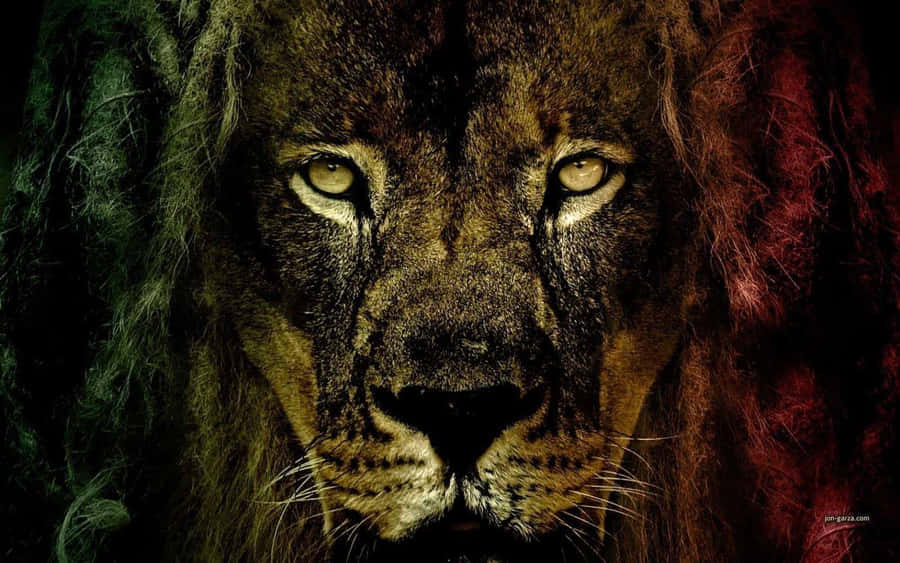 Mon Vibin Wallpaper