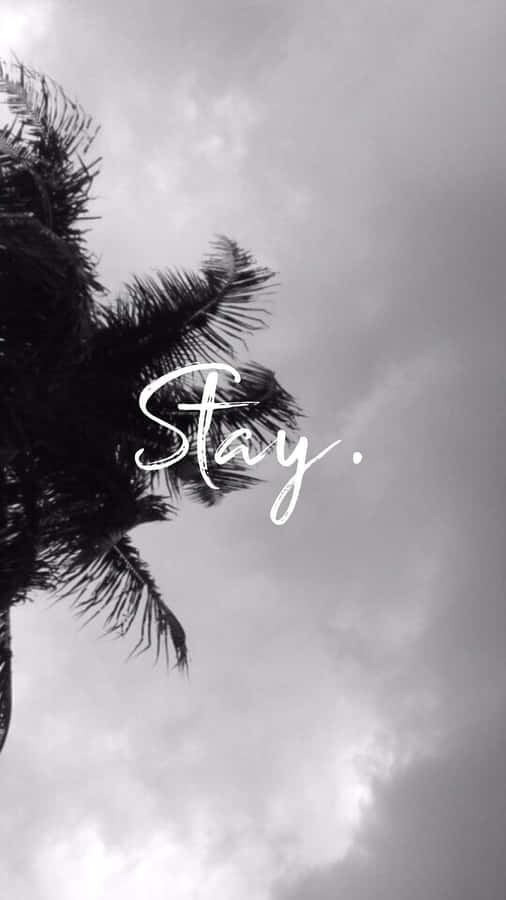 Monochrome Tumblr Photography Iphone Wallpaper