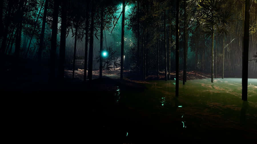 Mystical_ Nighttime_ Bamboo_ Forest Wallpaper