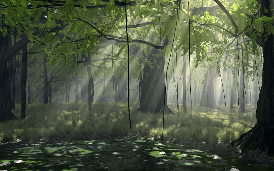 Nature Beckons You To Explore Anime Forest Wallpaper