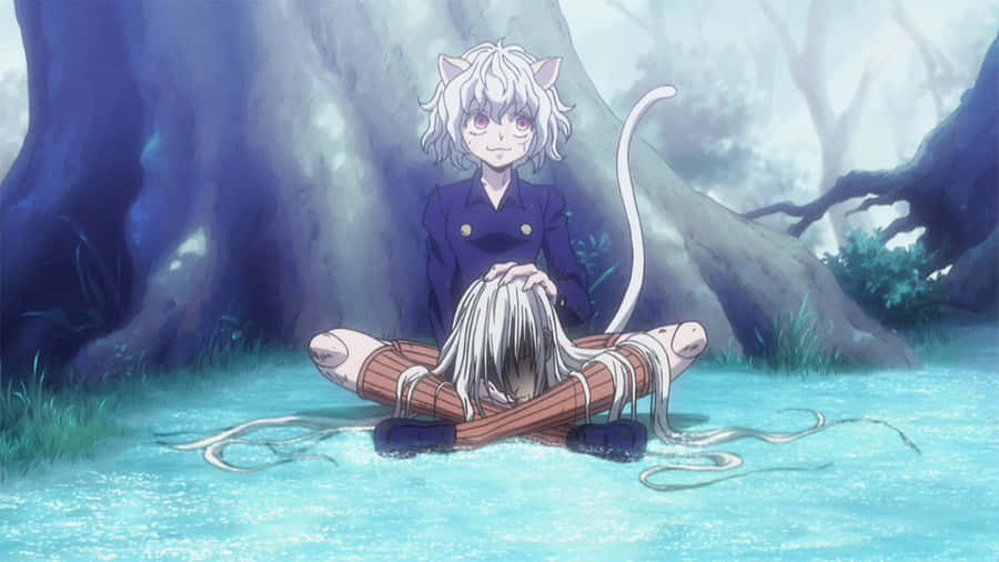 Neferpitou Hunter X Hunter Pfp Wallpaper