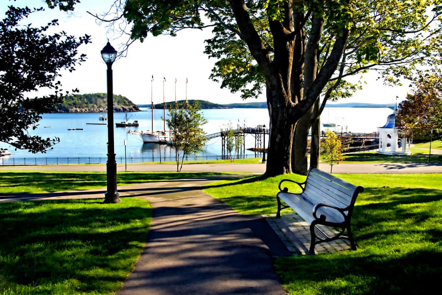 New England Summer Park Sea Wallpaper