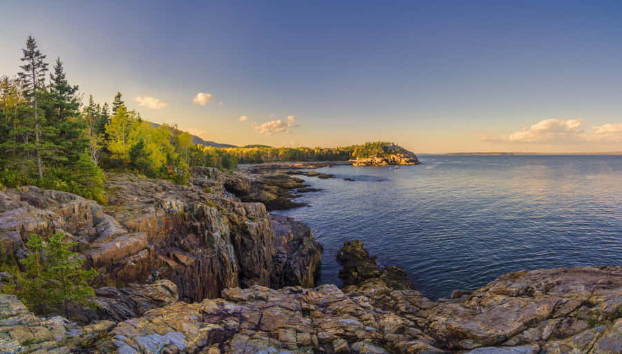 New England Summer Sea Cliffs Wallpaper