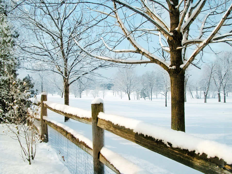 New Hampshire Winter Fence Painting Wallpaper