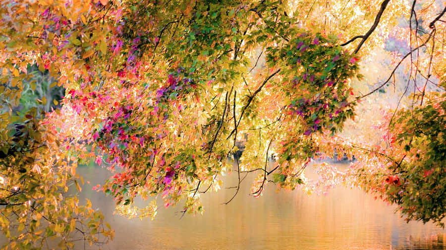 November Fall Leaves And Flowers Wallpaper