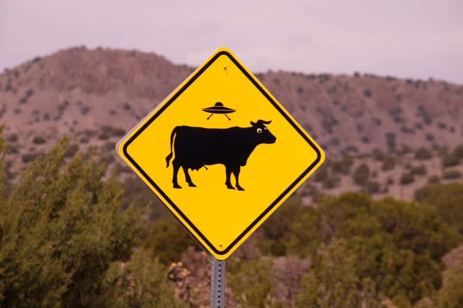 Odd Road Sign [wallpaper] Wallpaper