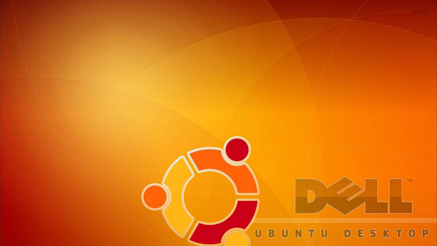 Orange Dell Hd Logo Wallpaper