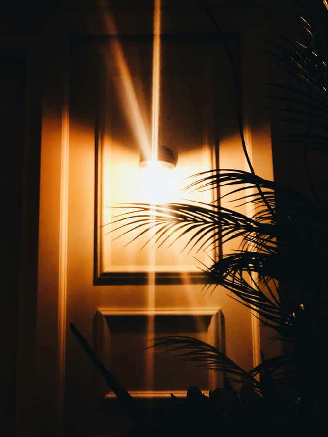 Orange Grunge Aesthetic Lightand Shadows Wallpaper