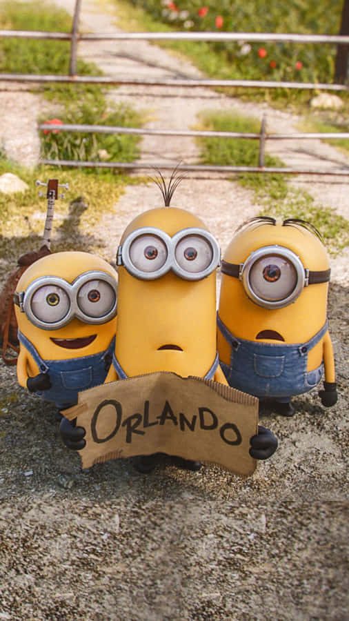 Orlando Despicable Me Minion Iphone Wallpaper