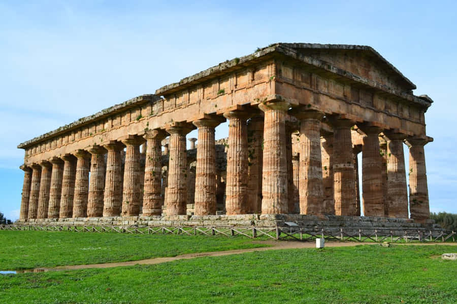 Paestum Cut Green Grass Wallpaper