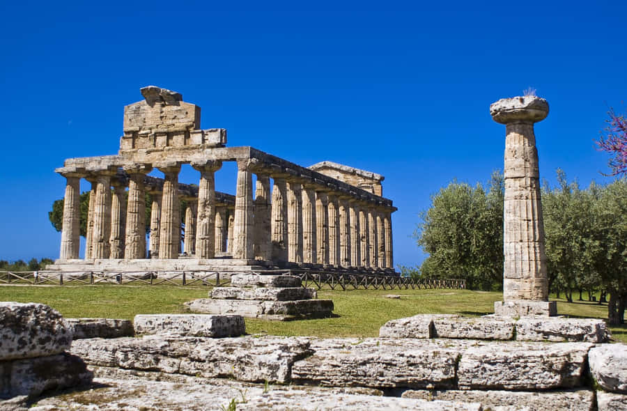 Paestum Singular Column Wallpaper
