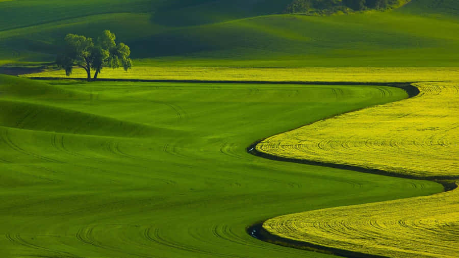 Perfect Your Swing With Awesome Golf Wallpaper
