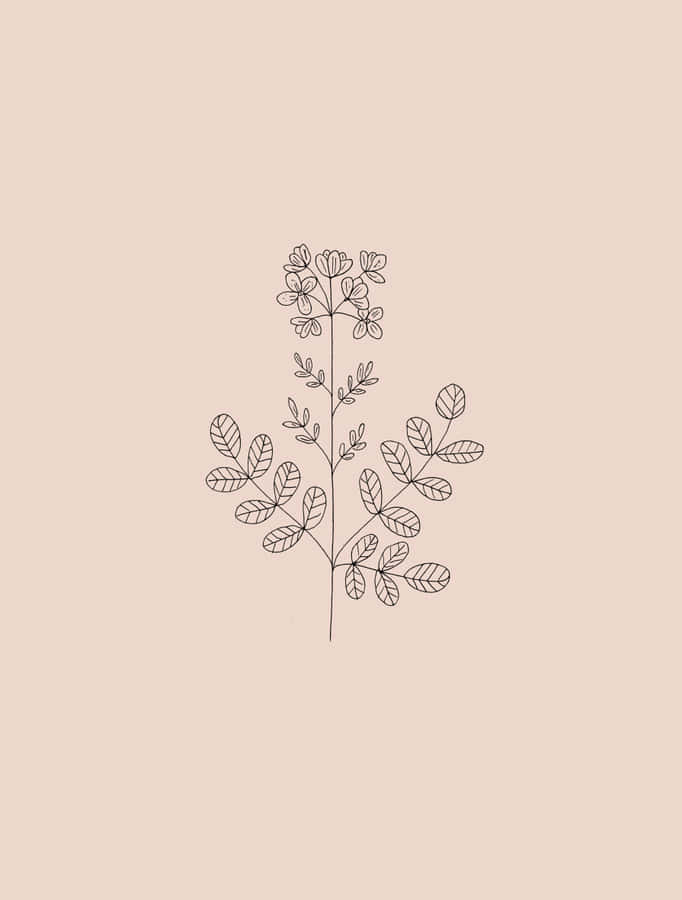 Placing The Finishing Touches On A Beautiful Flower Drawing Wallpaper