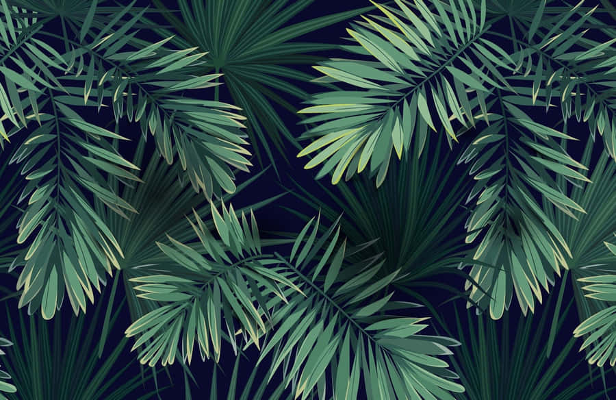 Plant Aesthetic Laptop [wallpaper] Wallpaper