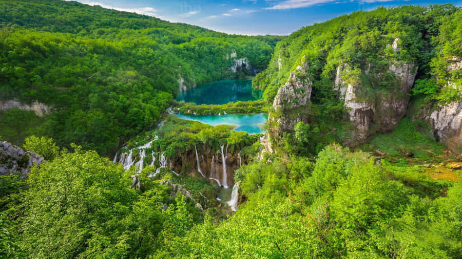 Plitvice Lakes In Crotia Wallpaper