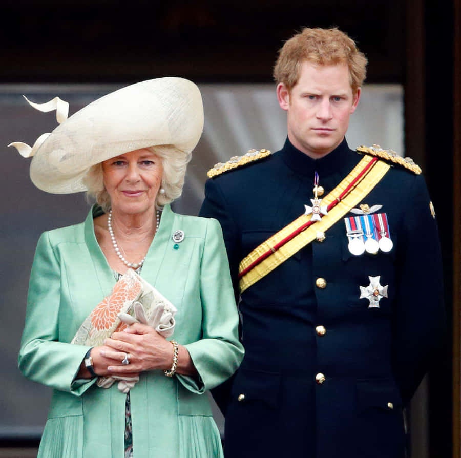Prince Harry Looking At Camilla Wallpaper