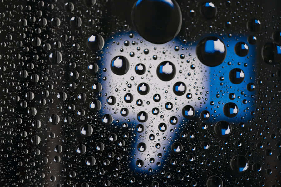 Rain Tiktok Pfp Ideas Wallpaper