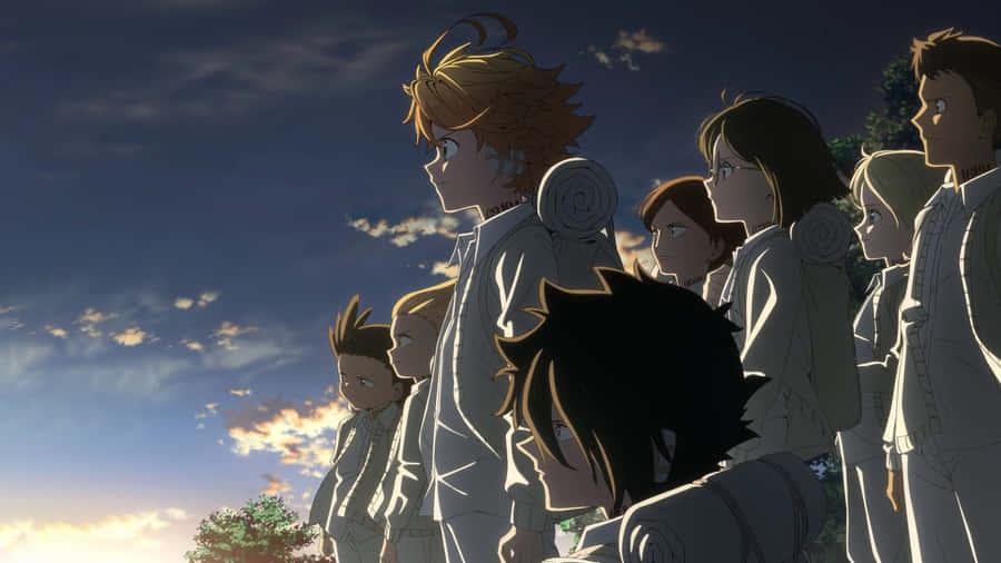 Ray From The Promised Neverland Anime Wallpaper