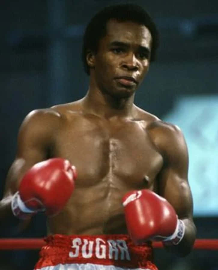 Ray Leonard Ready To Fight Phone Wallpaper