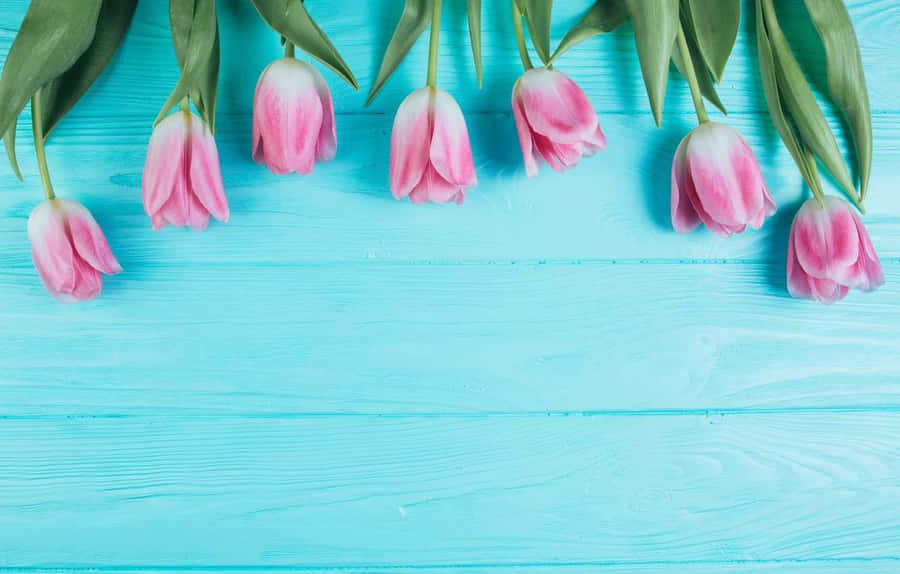 Refresh Your Space With A Simple Spring Style Wallpaper