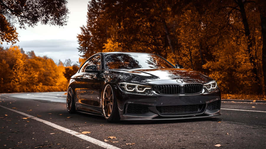 Refreshingly Modern Design - Bmw 440i Wallpaper