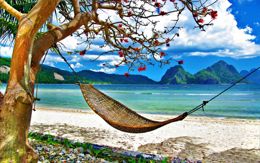 Relax And Enjoy The Beautiful Views Of The Cute Summer Beach Wallpaper