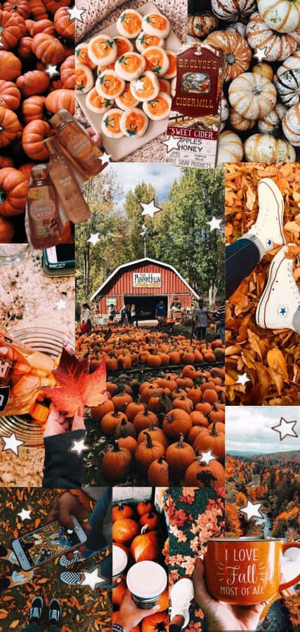 Relaxing And Tranquil Autumn Collage To Inspire Wanderlust Wallpaper