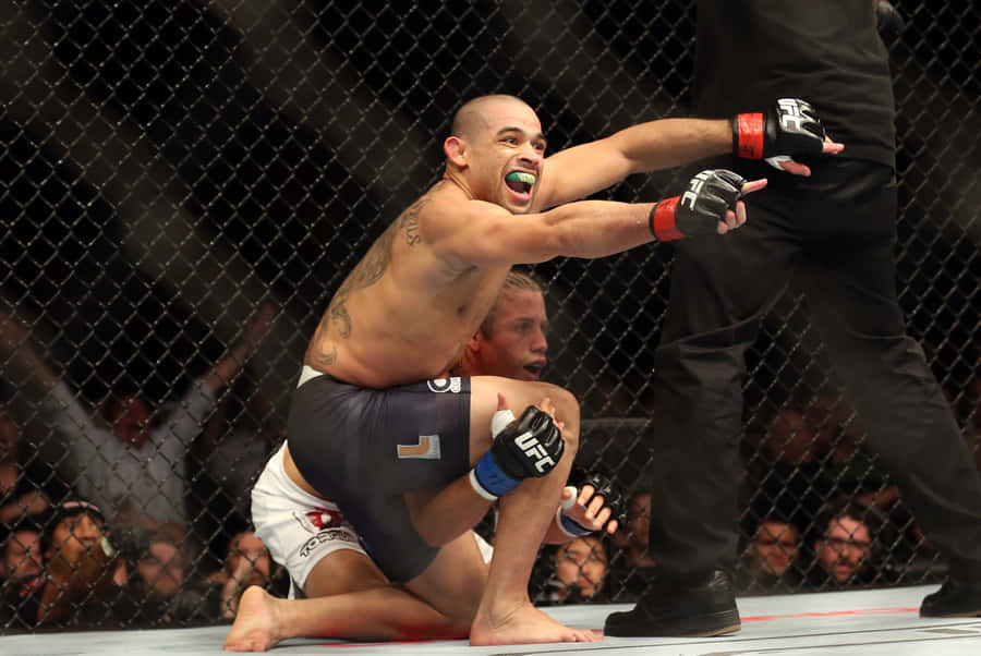 Renan Barão Against Dillashaw Ufc 173 Wallpaper