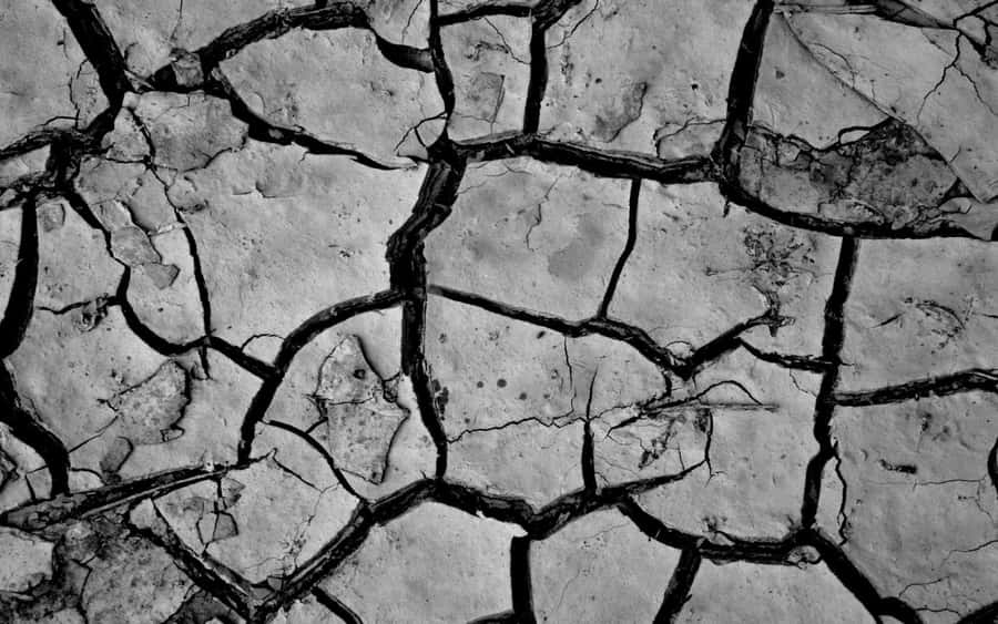 Rough Texture Grey Cracked Ground Wallpaper