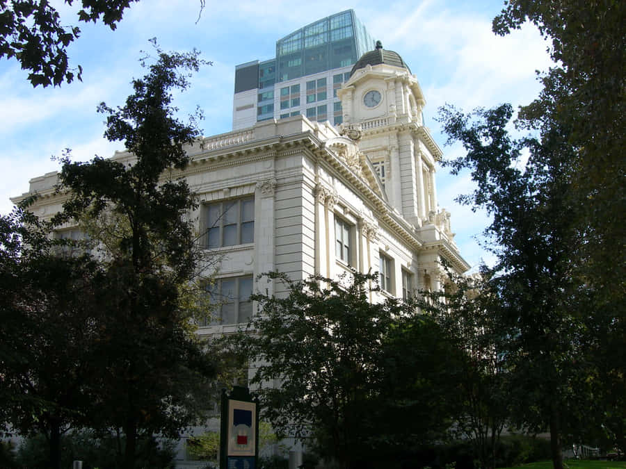 Sacramento City Hall Many Trees Wallpaper