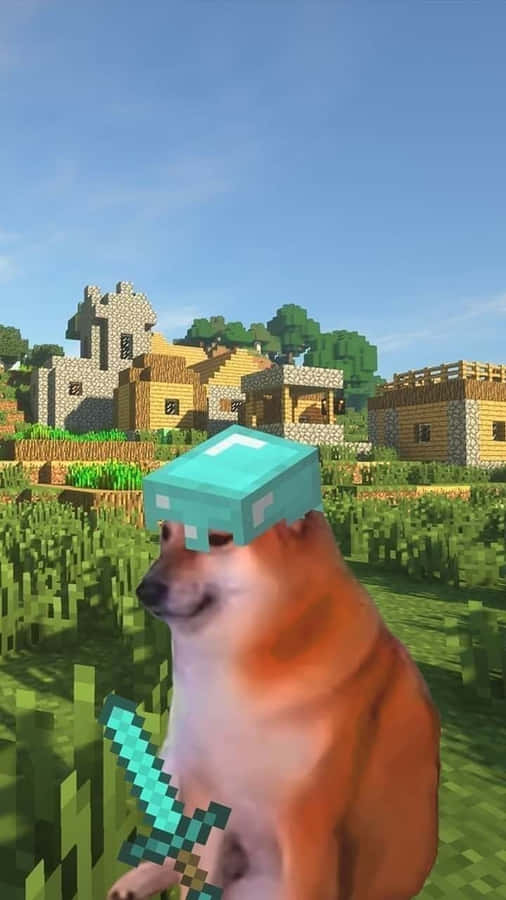 Sad Dog Meme Iphone Wallpaper