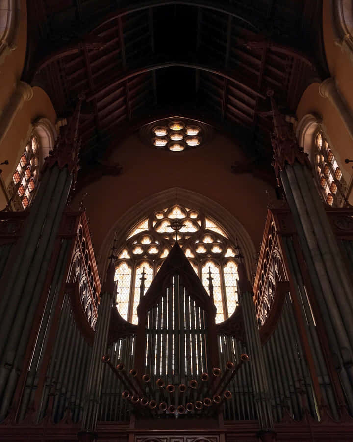 Saint Patrick's Cathedral Afternoon Wallpaper