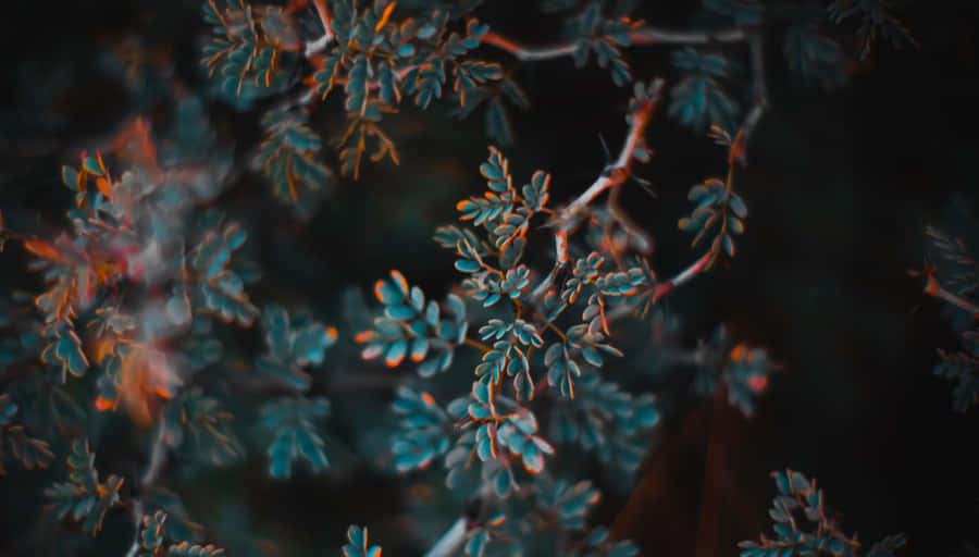 Seascape In Warm Tones Of Orange And Teal Wallpaper