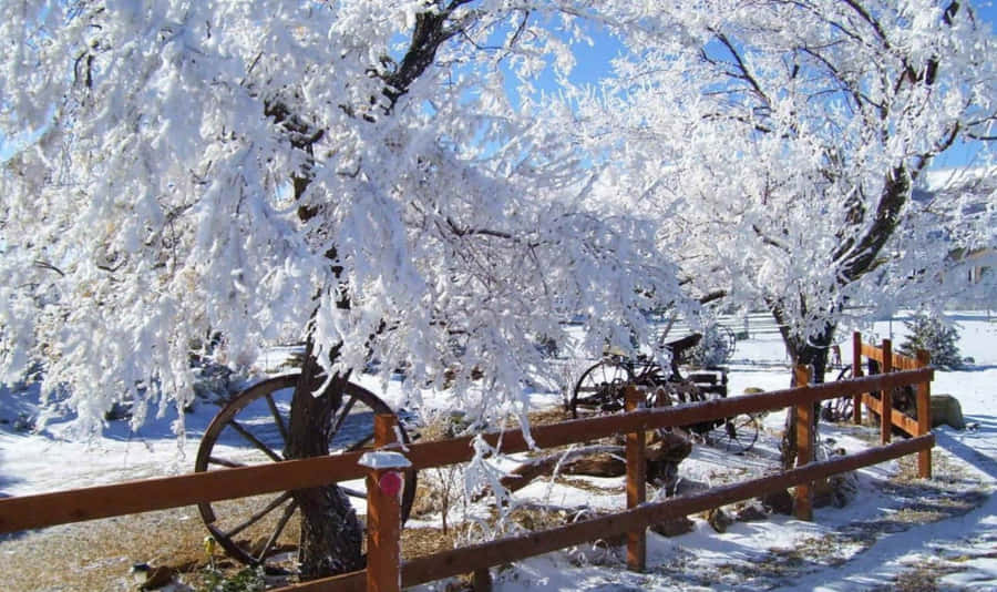 Seasonal Snow Winter Road Wallpaper