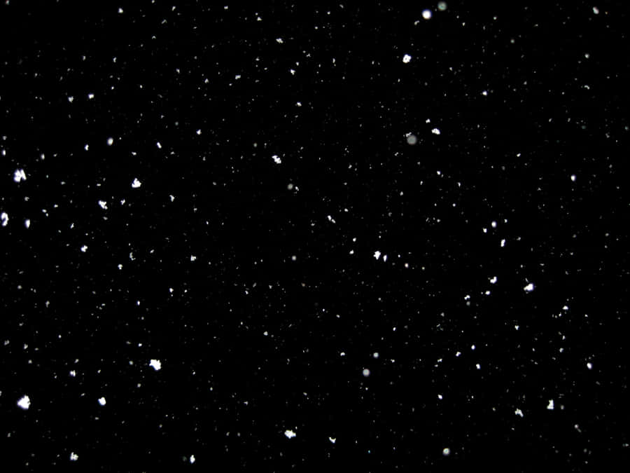 Serenity In Simplicity: A Black And White Dots Pattern Wallpaper