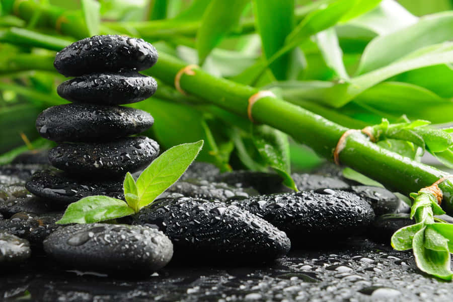 Serenity Inducing Zen Desktop Wallpaper