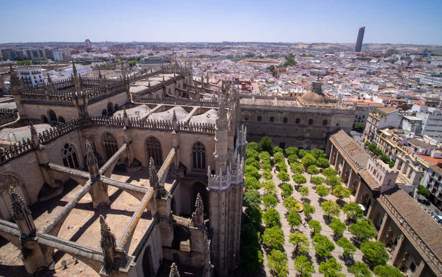 Seville Cathedral Top View Photo Wallpaper