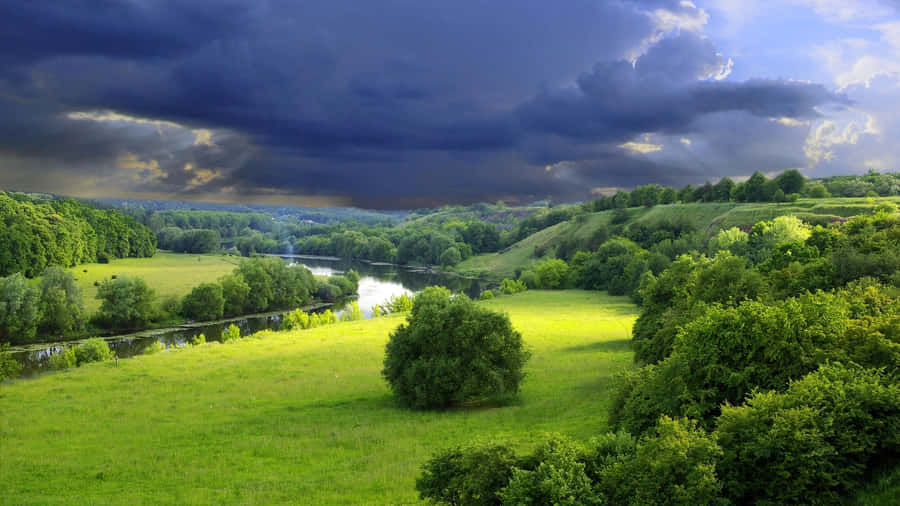 Shrubs In A Beautiful Landscape Wallpaper