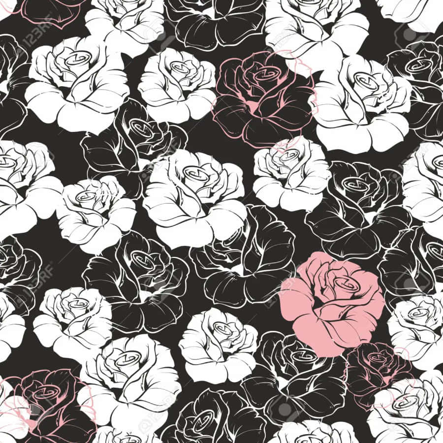 Soft And Bold: The Perfect Color Combination Of Pink, Black And White Wallpaper