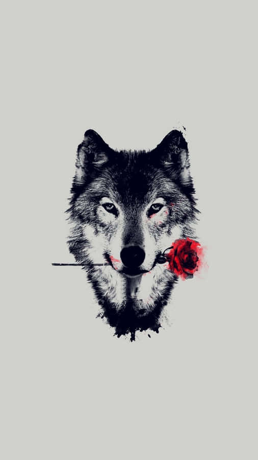 Solitude With The Wolf Wallpaper