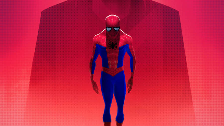 Spider Man Into Spider - Verse Wallpaper
