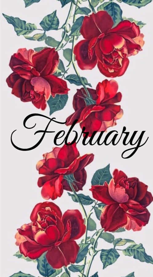 Start Your February With Excitement And Happiness! Wallpaper