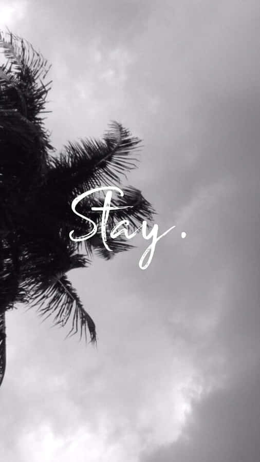 Stay Wallpapers, Stay Wallpapers, Stay Wallpapers, Stay Wallpapers, Stay Wallpapers, Stay Wallpapers, Stay Wallpapers, Stay Wallpapers, Wallpaper