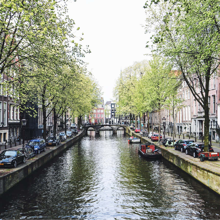 Strolling Along The Canals Of Amsterdam In The Spring Wallpaper