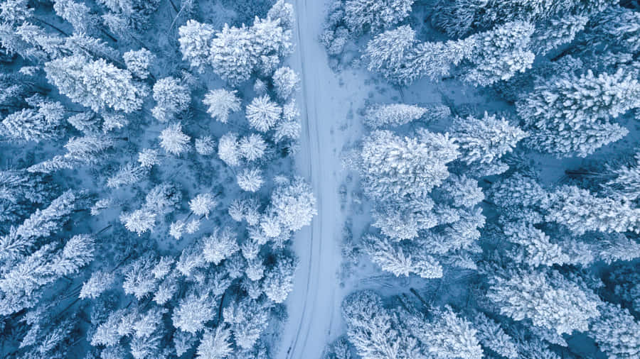 Stunning Nature In High Resolution Wallpaper